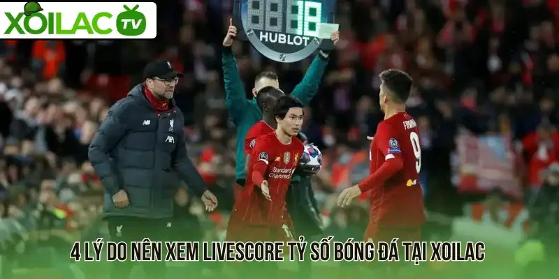 4 Lý do nên xem Livescore tỷ số bóng đá tại Xoilac